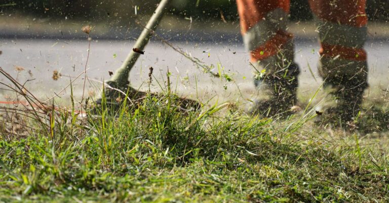 corte de grama em São Bernardo do Campo